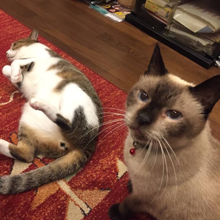 86061f8e 985f 4e26 b38b c7dab987d882