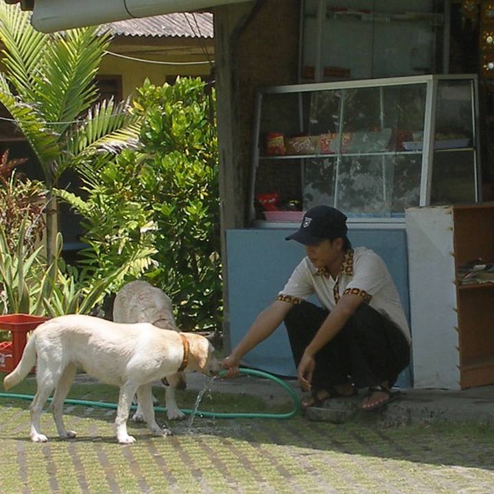 860620ed a5d0 498d 81bb 45902ca950db