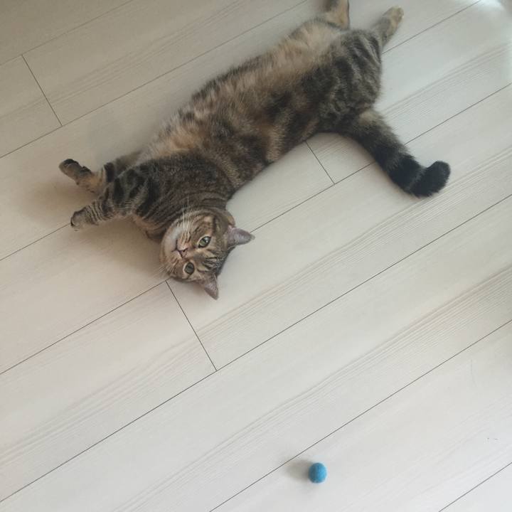 86063e8b 6327 4e66 831c de1fabc9acad