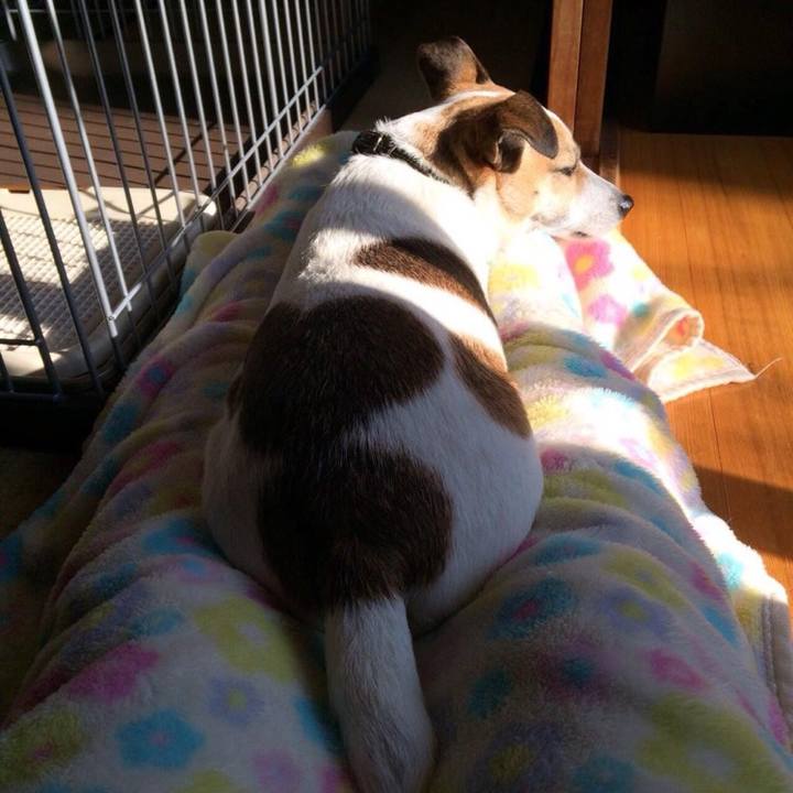 8606709e 2486 4891 9be5 77db111bddb6