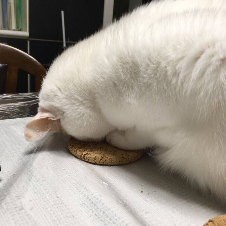 860673ac ab62 4ae0 836e 0f177eaad456