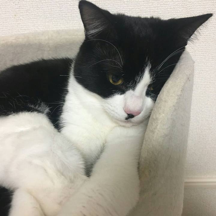 86072b81 0aa5 46ad 8fec c13e66ab70f9