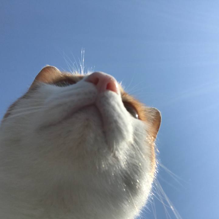 8607f3fc 8f01 4ff7 87b5 718e5229855d