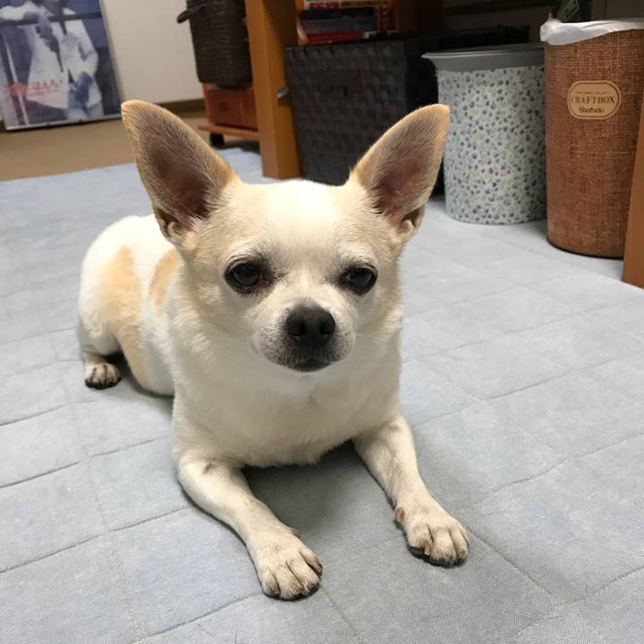 860808af f5cd 4073 b676 7b26ceaea091