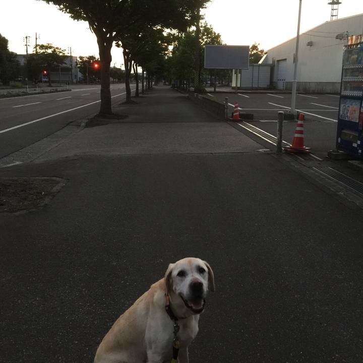 860817b6 0e97 44ae a93b 7b5320c6d2c1