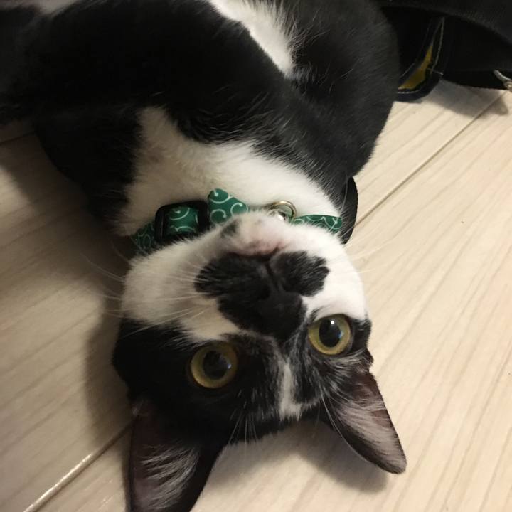 86083521 d47c 4166 9c15 910a6938f622