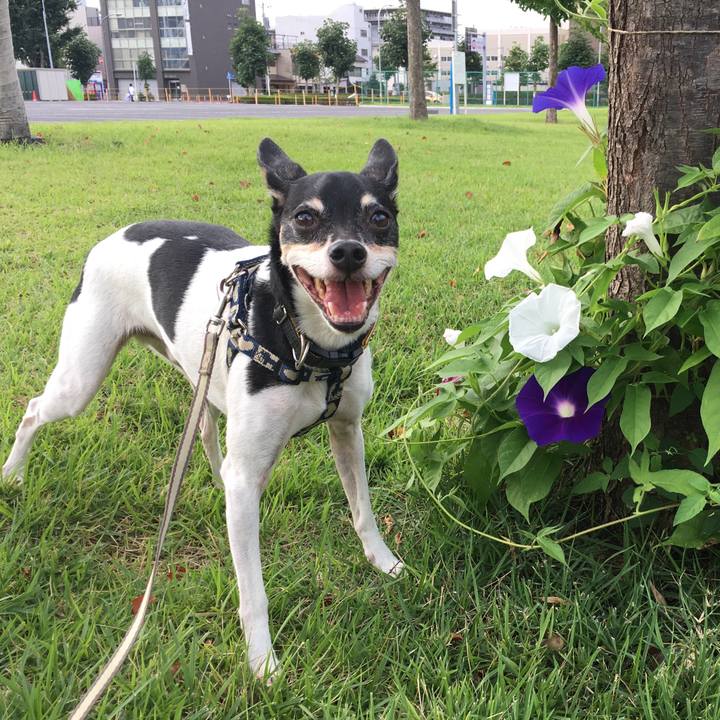 860841d7 9b4f 4c73 bec6 809ec8c07f4d