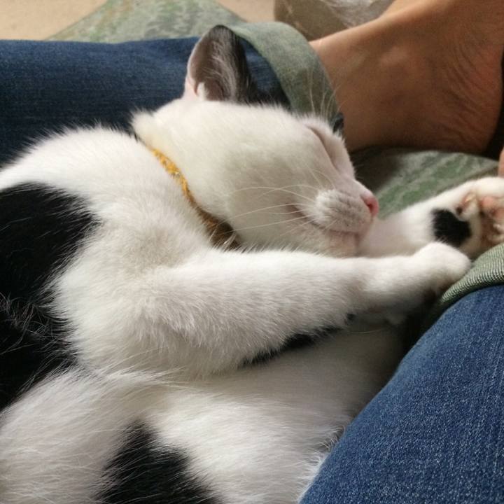 860886de 1d7a 4dd1 8f95 3af2145224ec