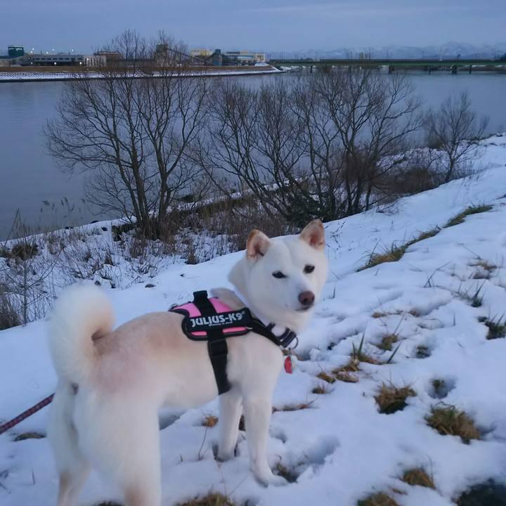 86088f6b f05c 45f1 b148 247fc8f4f76b