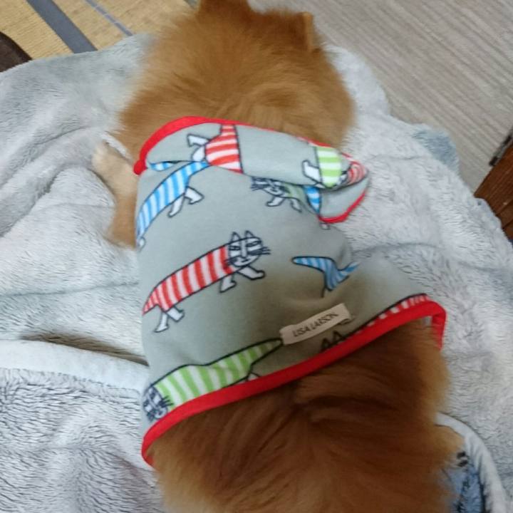 8609d040 f962 4f67 80b6 20172785aaff