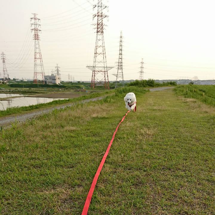 860a2a7d 890a 4af9 aba0 20f06d28f4d0