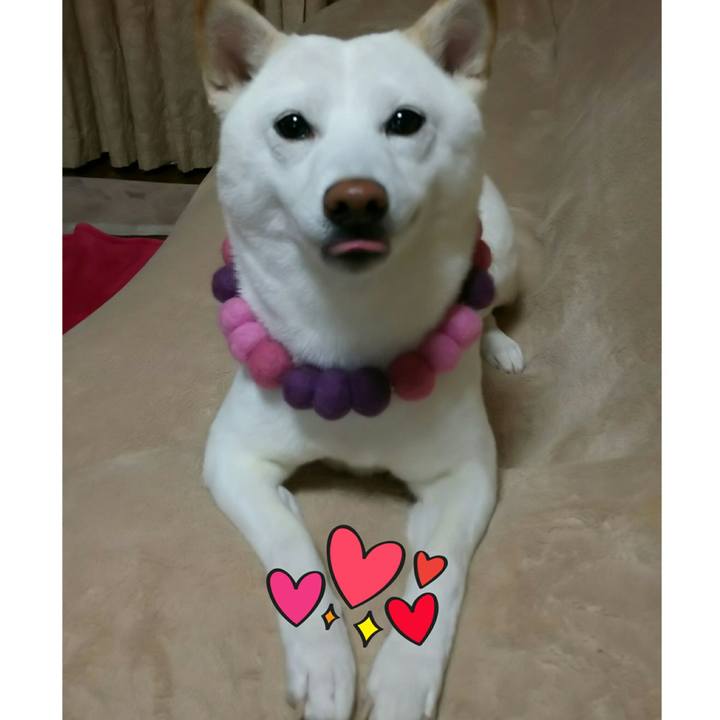 860a746b 264d 4e0d 8a80 34946a4afc4c