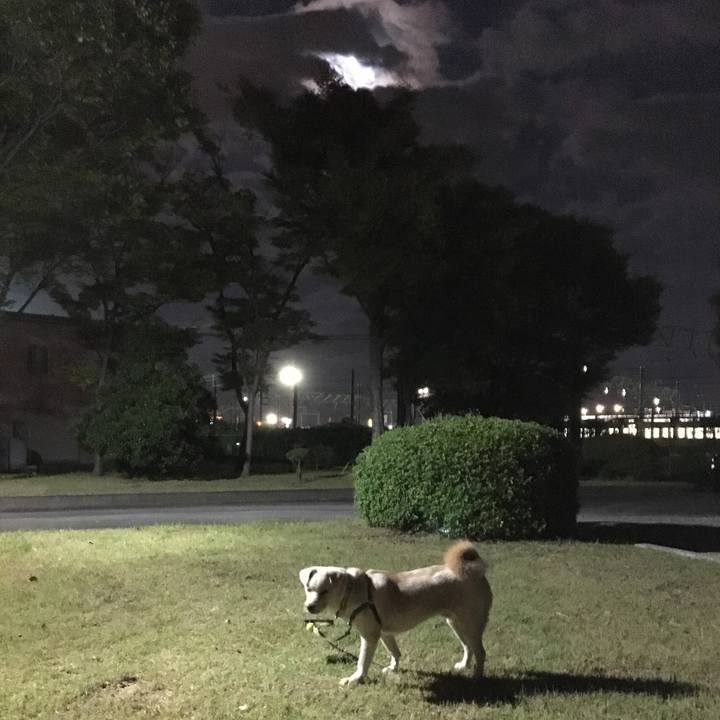 860a9c84 a4d6 46c5 8fac 5e185732b1eb