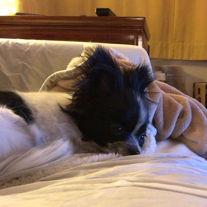 860aa625 34e0 4e22 ae9a f2ede0629603