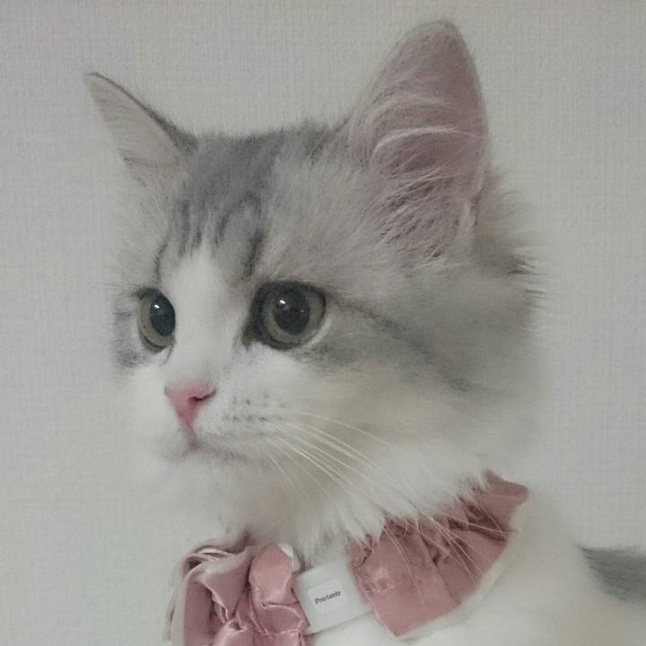 860aa692 f2e0 4d32 8ceb 21fc3523a339