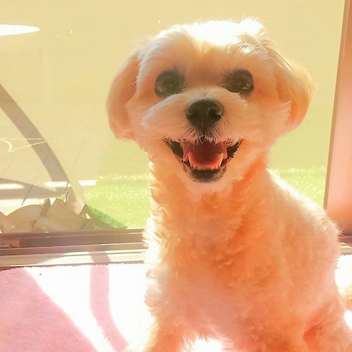 860b76fa 1515 4317 9774 67adc5484876