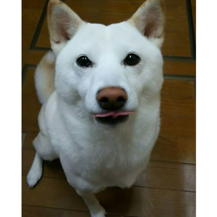 860bc7ef 31d4 4bb8 9224 0411325f6db5