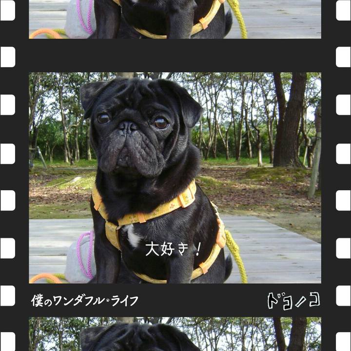 860c1a7b 010c 441c 8884 c30b96c140e9