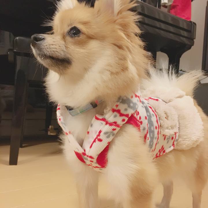 860ce442 f24d 41d7 a456 ca523e6abd12