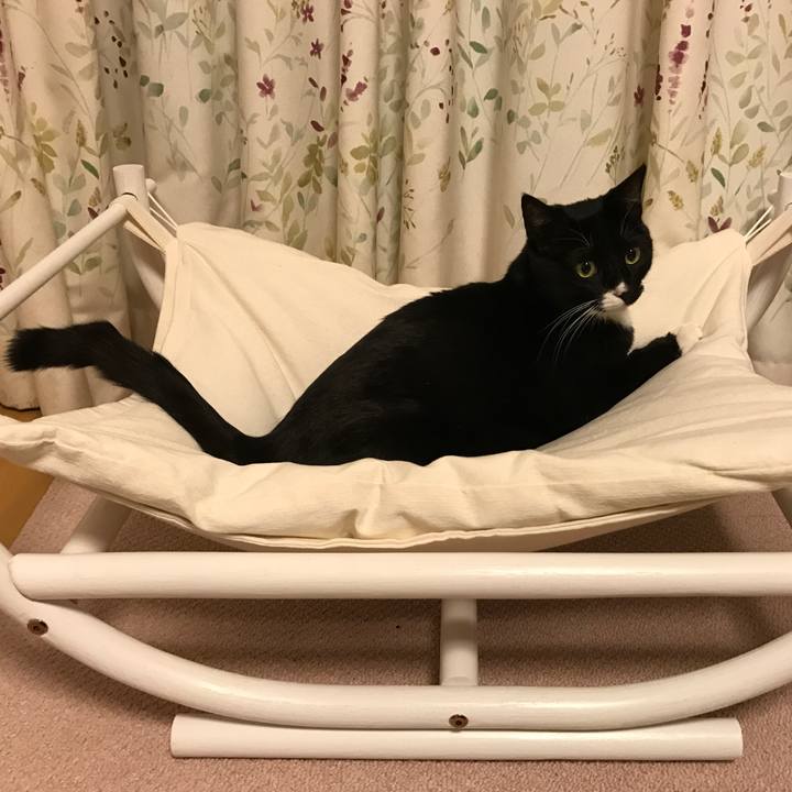 860d4cf5 0743 45aa b3ae 9fd8e31dbc10