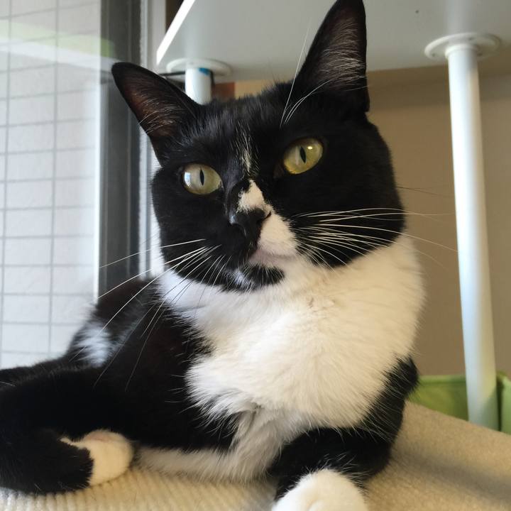 860db38e b758 47e4 b059 f2a18619e8e3