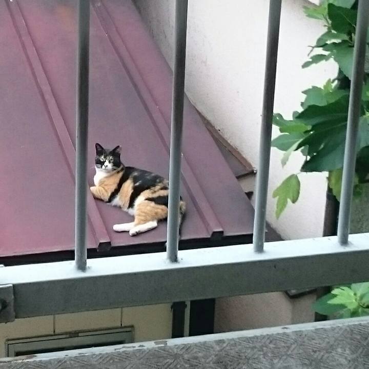 860e53f5 7974 4ef3 868b 5ac274f4ff8d