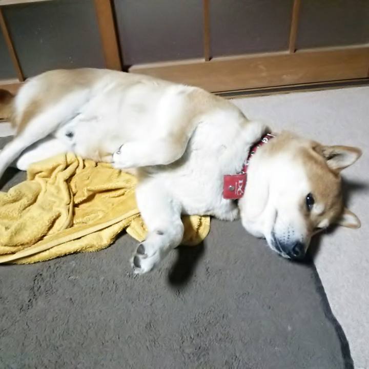 860ec432 4664 45ca 9257 4b283a19693a