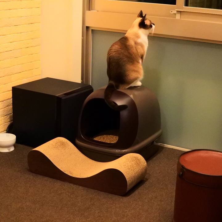 860f0990 e725 4ea0 abc6 02fda9db9b6f