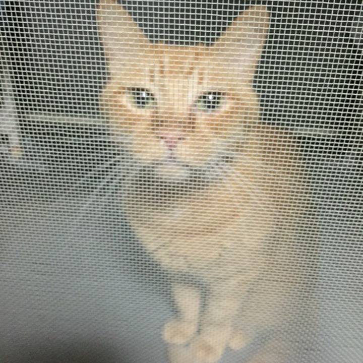 860f10a1 6f04 4506 9578 e1fd8cd72766