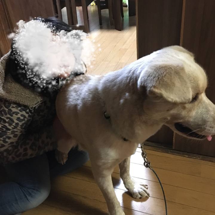 860f8a52 49dc 4c3e 8e5d 509887875b60