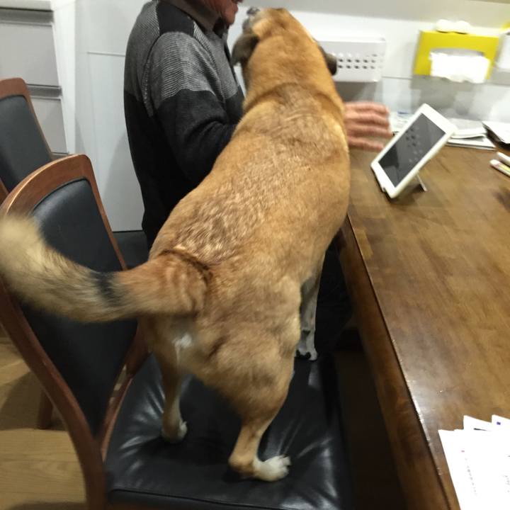 860fce5d 376f 45de ba85 fff1aa4cbd92