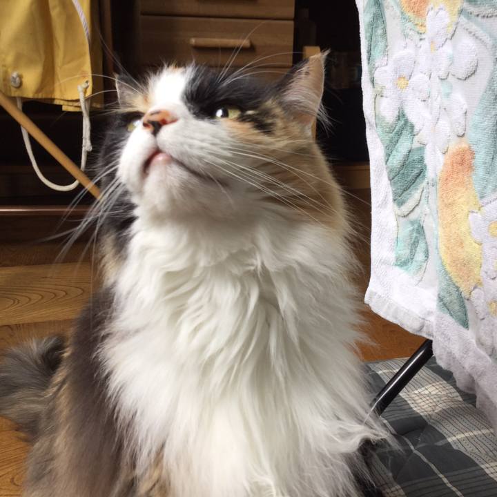 860ffed0 ce7c 45e0 94a7 e7fce72ecce5