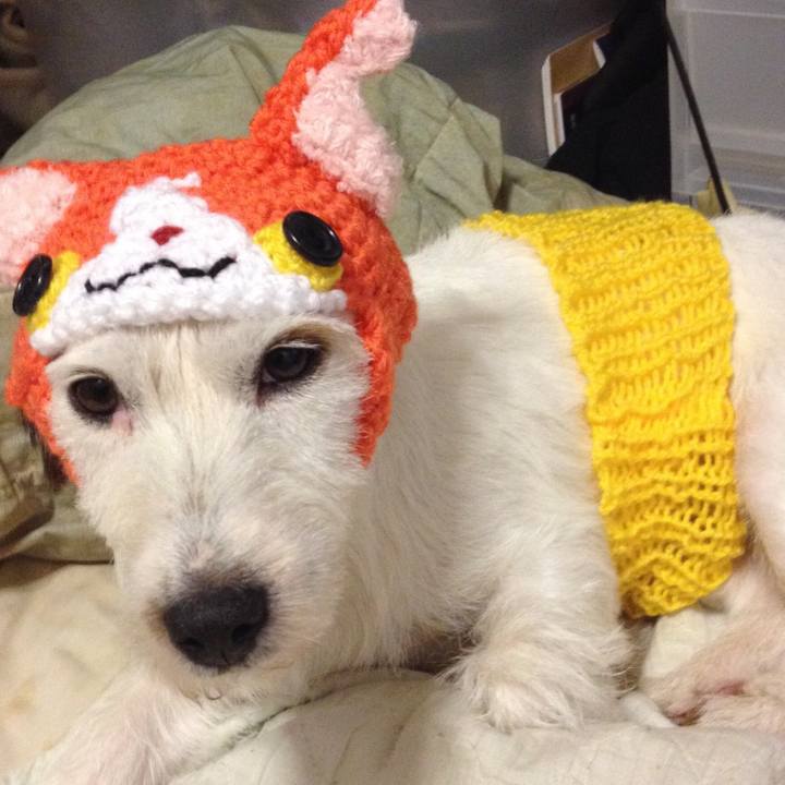 86104639 49dd 484b 961e e1a89b0d62b5