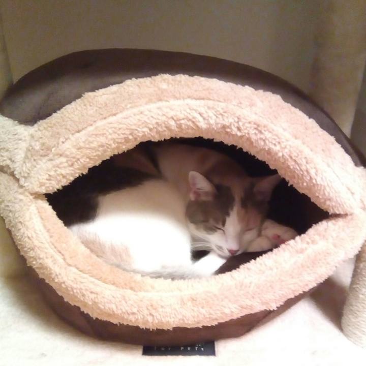 8611ec5e df24 4aac a65c e0fca170df60