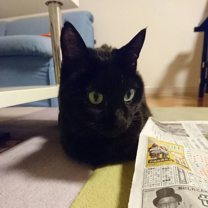 8612116d f015 4ef4 845a 6da94eb28db7