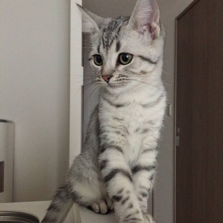 861340e8 ffab 4825 8adf 2f3843ef6941