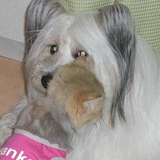 86140a26 69b0 473b a28d 50ddf6167779