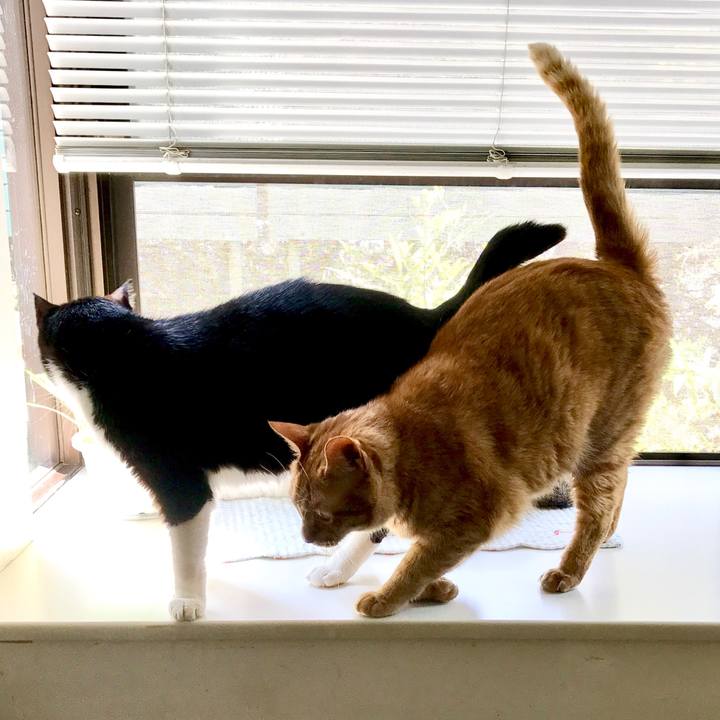 86140a88 1bcc 4b7c 979e 070e2691eb3e