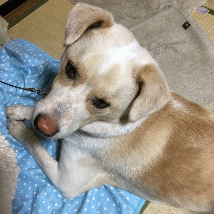 861451e2 a0fb 4ed9 8379 157f42a9ebca