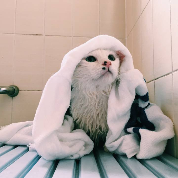 86154cf9 bb82 42d7 b1a7 bfdb14d45c68