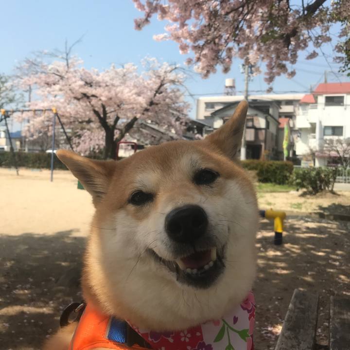 8615eaa7 7a63 4496 a7fe 1070dd14721c