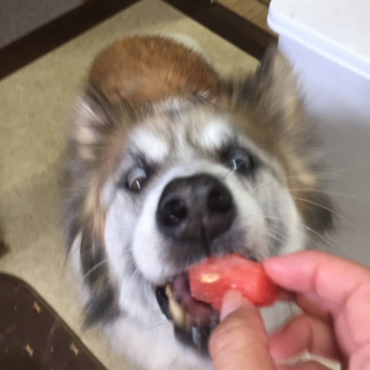 8615f24d 4bce 484f 8250 02bd7f597784