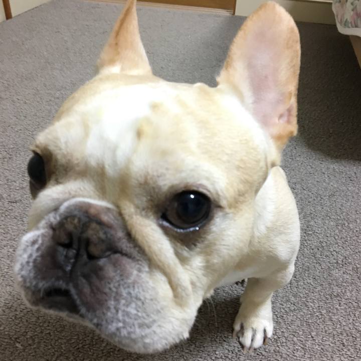 86162e72 53a4 4307 8fcd 0453d064d246