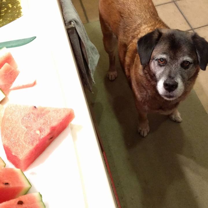 86167ac9 1d3c 44d3 b795 bf1c00a9a8a9