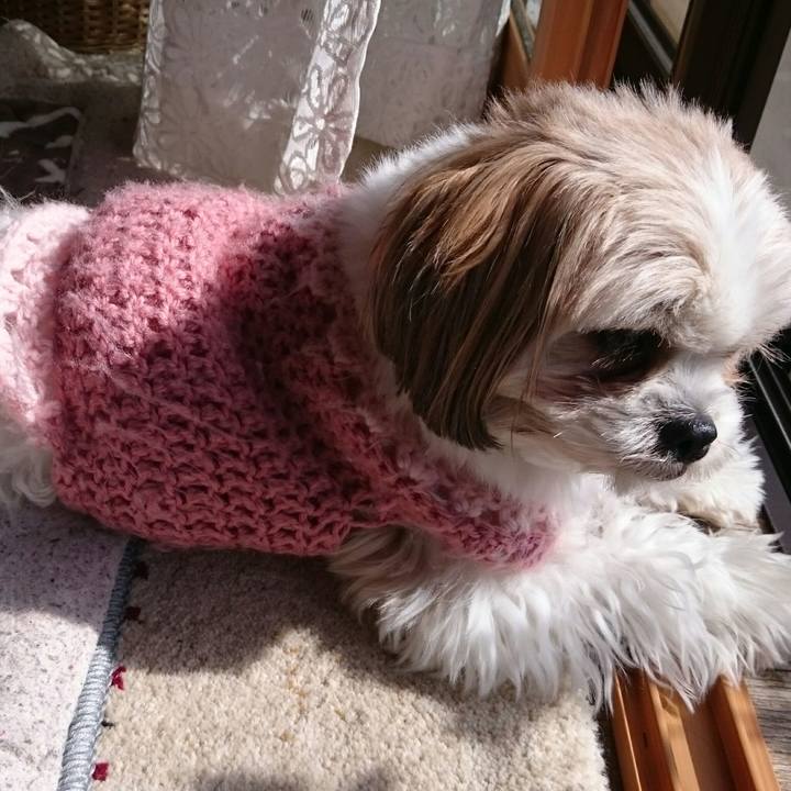 86170684 c205 498d 8226 501bd1f78473