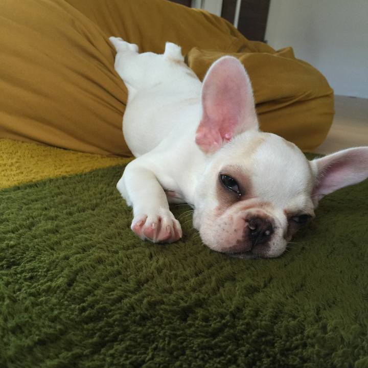 861707e7 abc1 478e 8182 597fda09daec