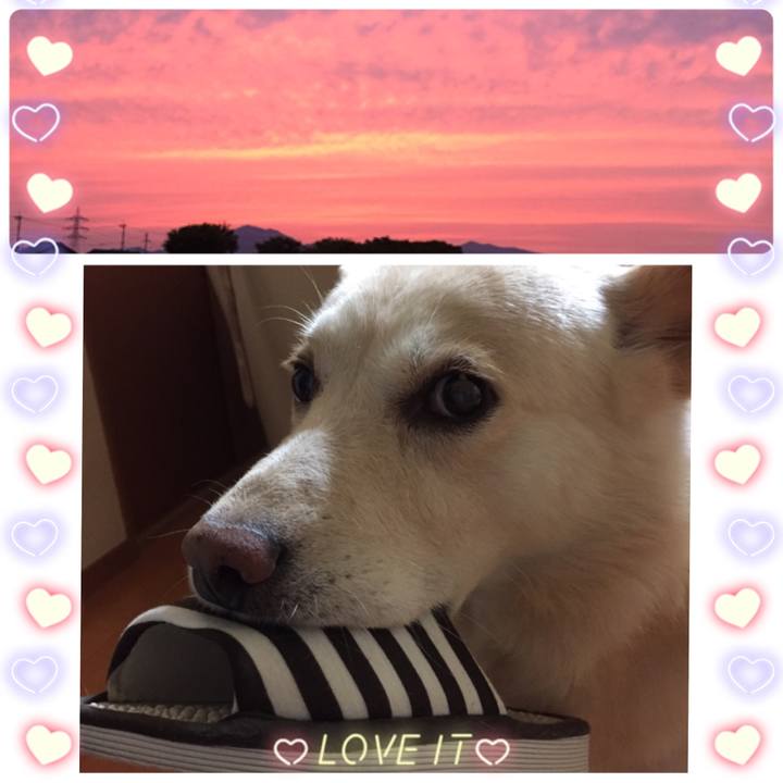 861846d8 edc3 47a7 bbca 34751e849293