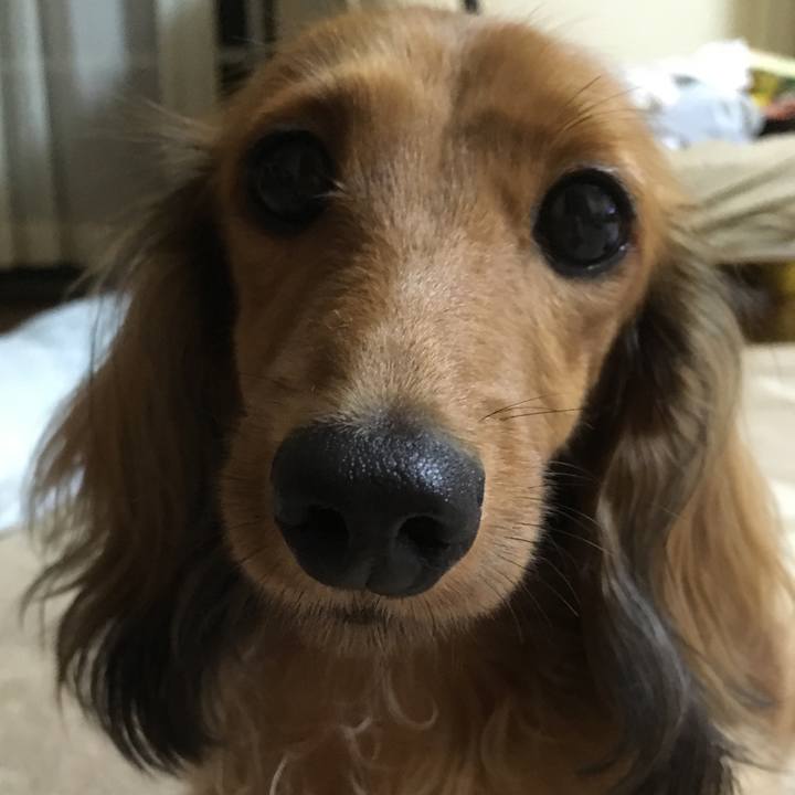 8618a1df 736d 46c3 b508 6165c012812b