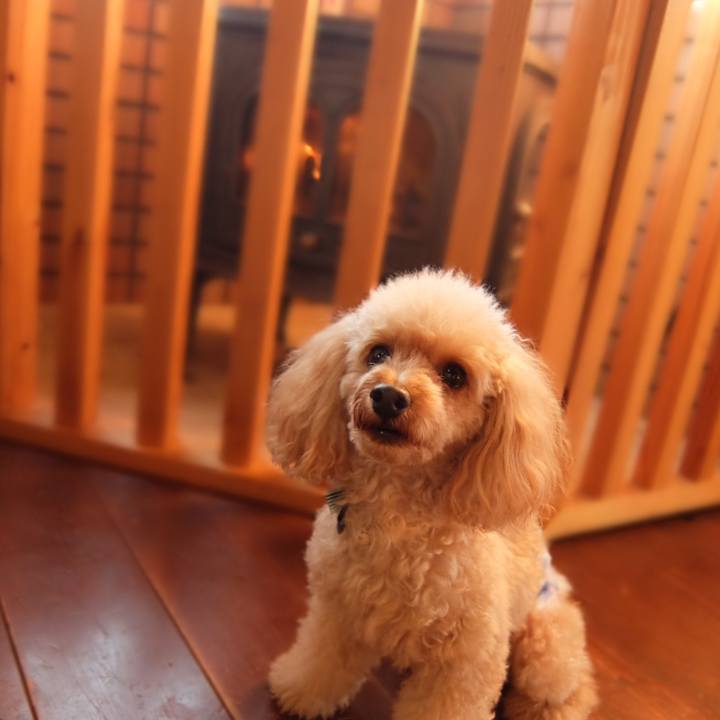 86191ccf ddf1 496d a5e6 1fa89cf31197