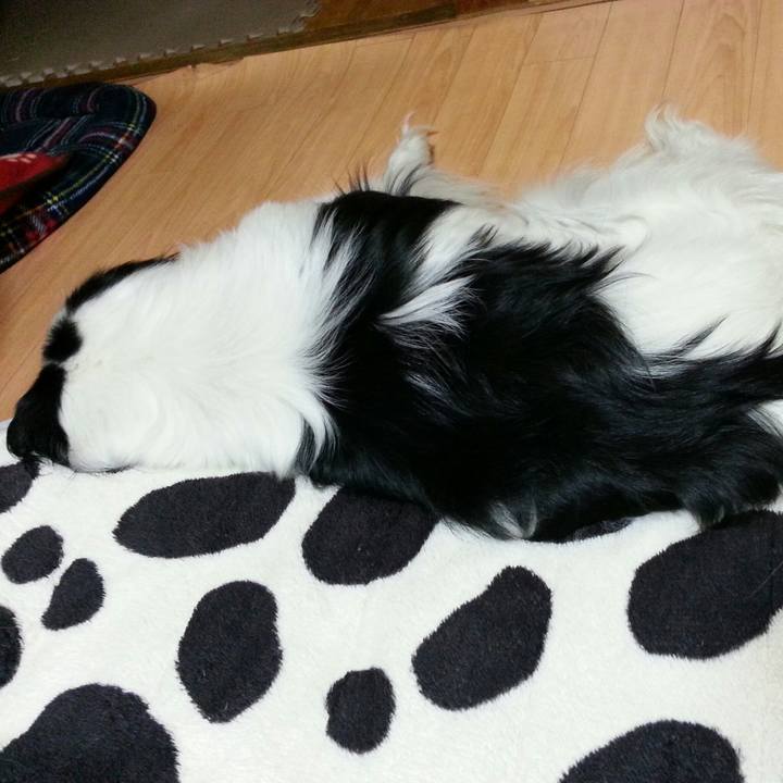 86195a6c acf1 48c5 8bf1 6feaca72b2ae